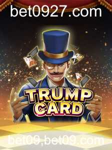 Descubra o Mundo de Estratégias e Riscos com TrumpCard em bet09